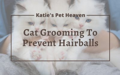 Pet Grooming to Prevent Hairballs