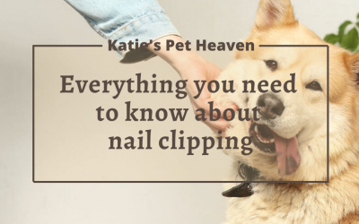Everything you need to know about Nail Clipping